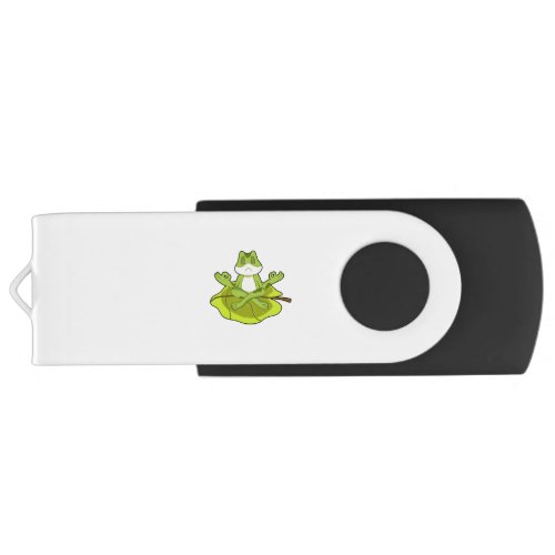 Frog at Meditate Flash Drive