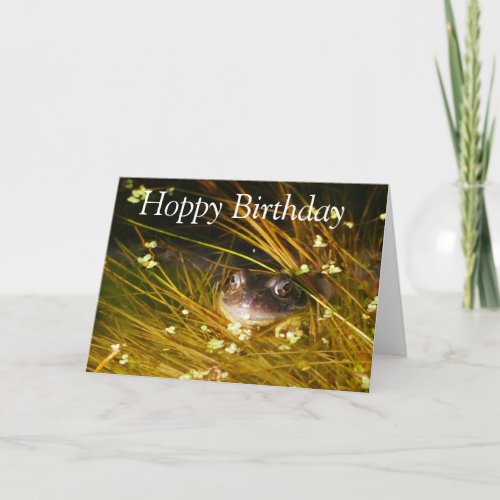 Frog Birthday Card