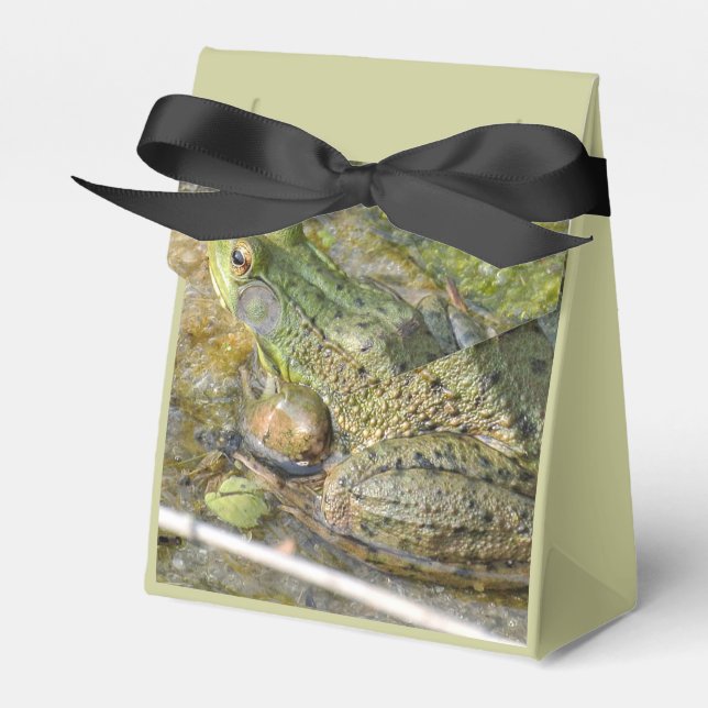 Frog Birthday Party Kids Boy Animal Favor Boxes (Front Side)