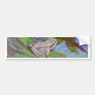 Frog Bumper Sticker