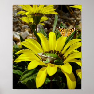 Frog butterfly Flowers Poster