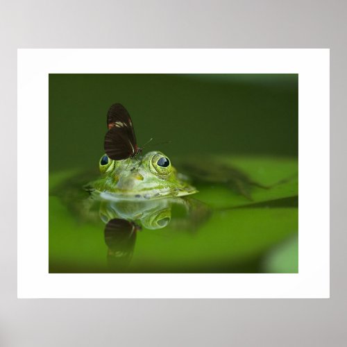 Frog  Butterfly Poster