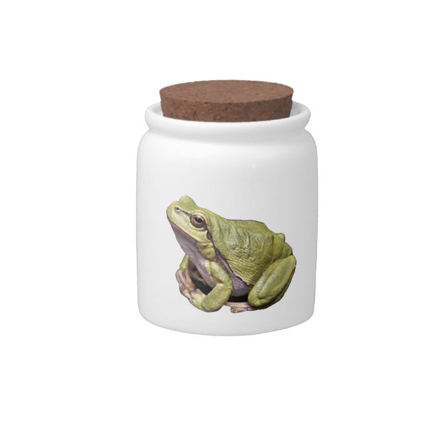 Frog Candy Jar (Front)