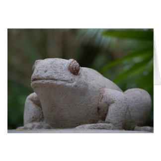 Frog Cards