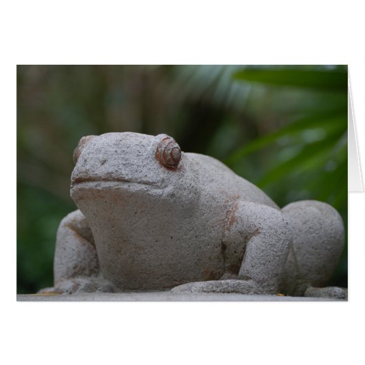 Frog Cards (Front Horizontal)