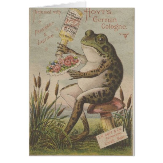 Frog Cards (Front)