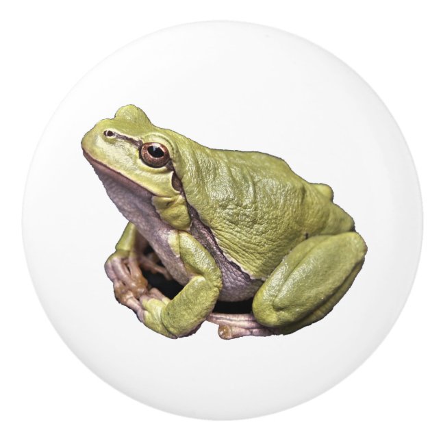 Frog Ceramic Knob (Front)