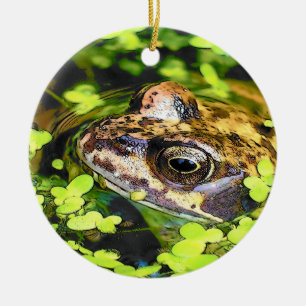 FROG CERAMIC ORNAMENT