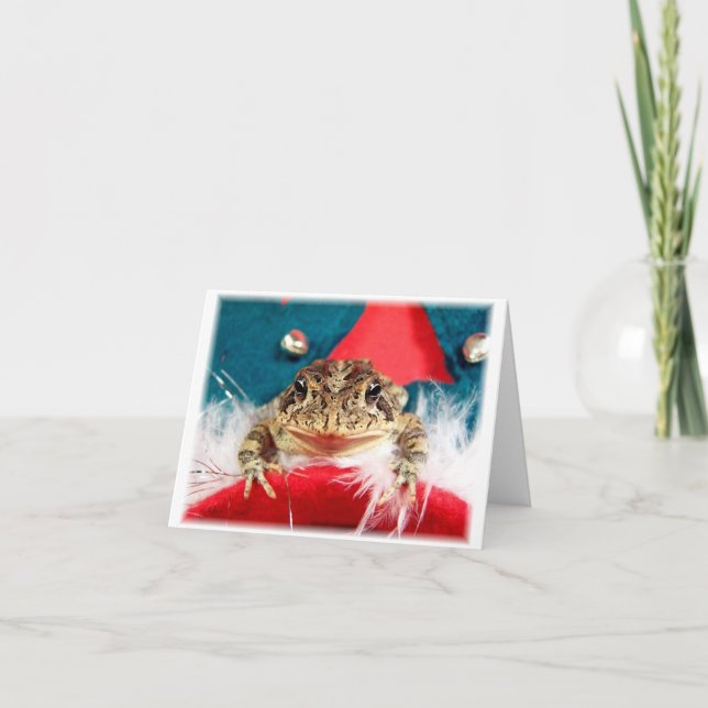 Frog Christmas , Tinsel, feathers, santa pattern Holiday Card (Front)
