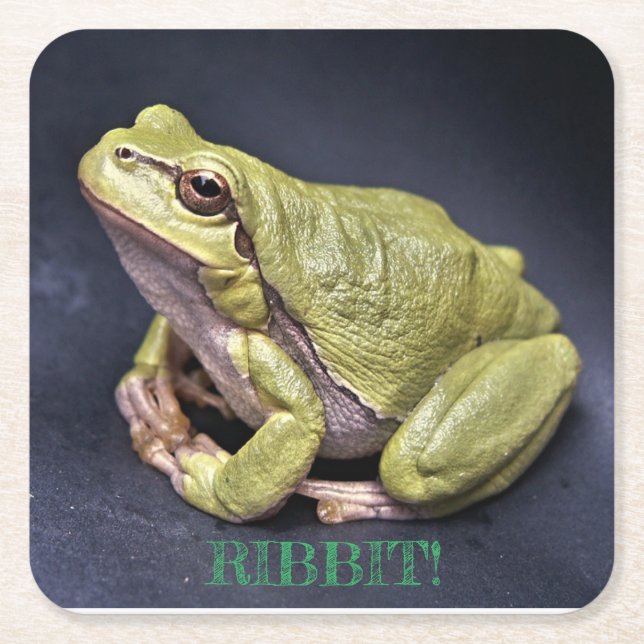 Frog Coaster (Front)