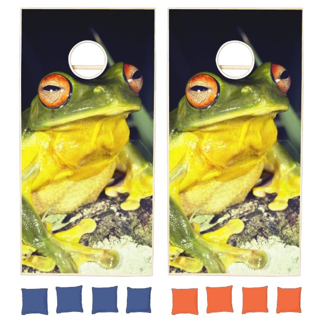 Frog Cornhole Set (Set)