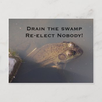 Frog Drain The Swamp Re-elect Nobody Postcard by abadu44 at Zazzle
