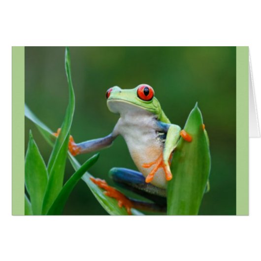 Frog Endangered Wildlife Series Cards (Front Horizontal)