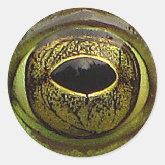 Frog Eye Classic Round Sticker