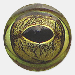 Frog Eye Classic Round Sticker