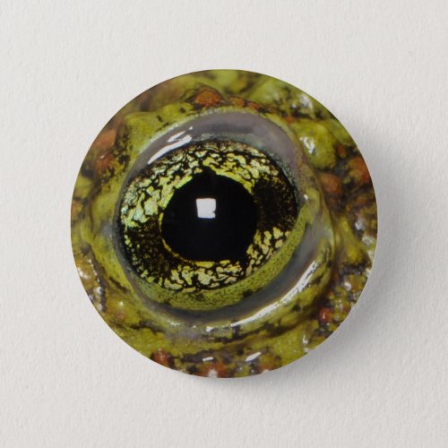 Frog eye photo design pinback button