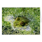 Frog Eyes (Front Horizontal)