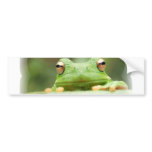 Frog Eyes Bumper Sticker