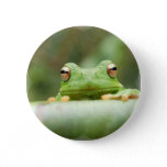 Frog Eyes Button