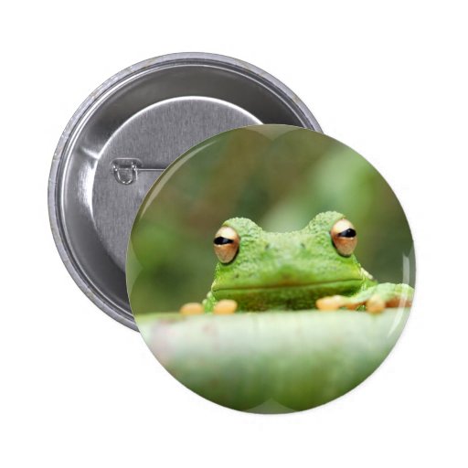 Frog Eyes Button | Zazzle