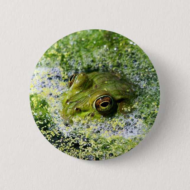 Frog Eyes Button (Front)