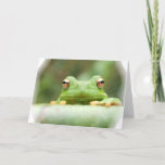 Frog Eyes Greeting Card
