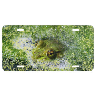 Frog Eyes in a Pond License Plate