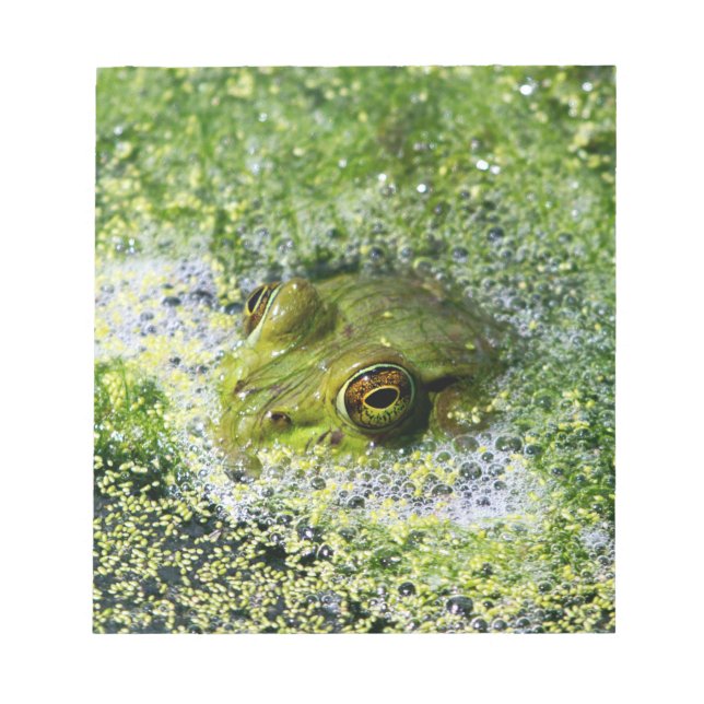Frog Eyes in a Pond Notepad (Front)