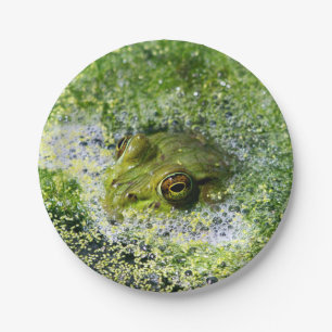 Frog Eyes in a Pond Paper Plates