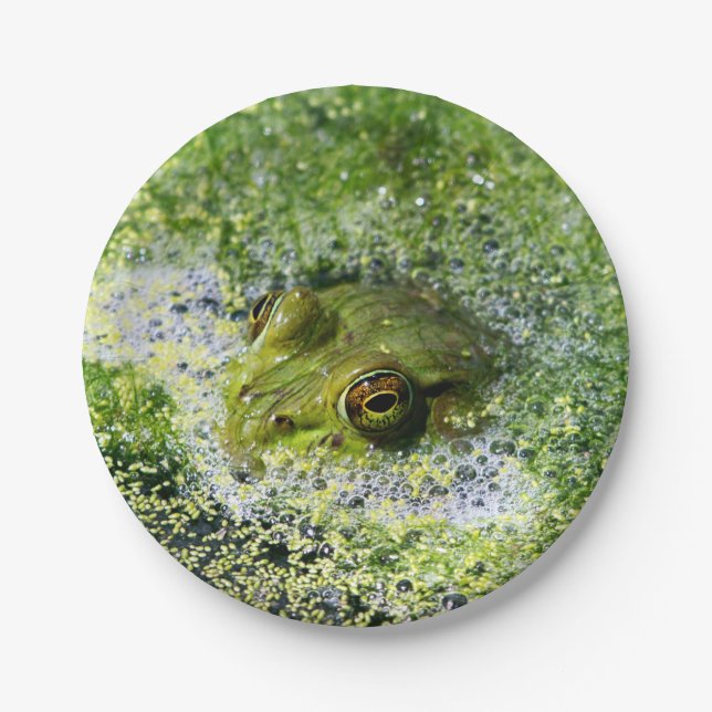 Frog Eyes in a Pond Paper Plates (Front)