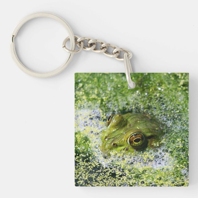 Frog Eyes Keychain (Front)