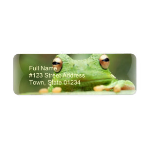 30 Custom Frog Couple Personalized Address Labels 