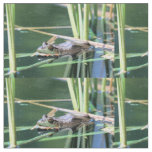 Frog Fabric