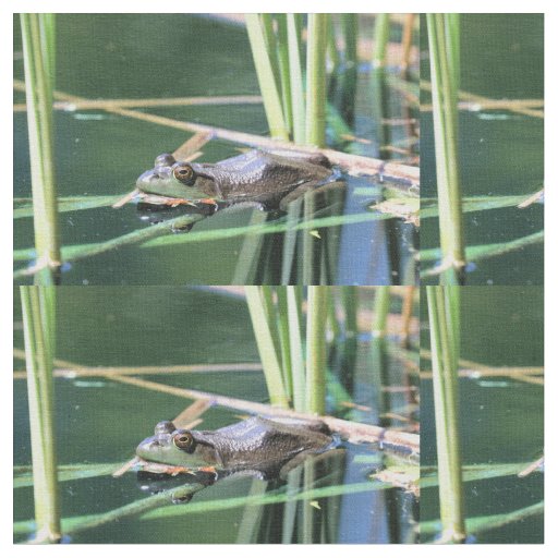 Frog Fabric