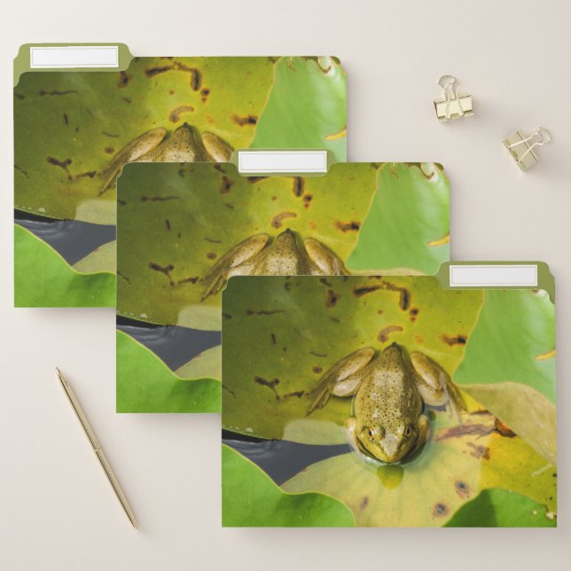 Frog File Folders Set (Set)