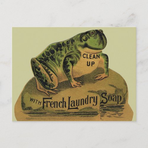 Frog French Laundry Soap Postcard