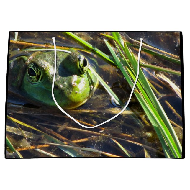 Frog Gift Bag (Front)