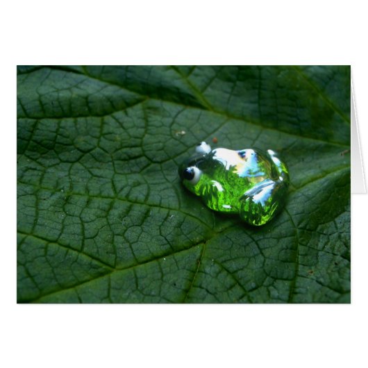 Frog Green Cards (Front Horizontal)