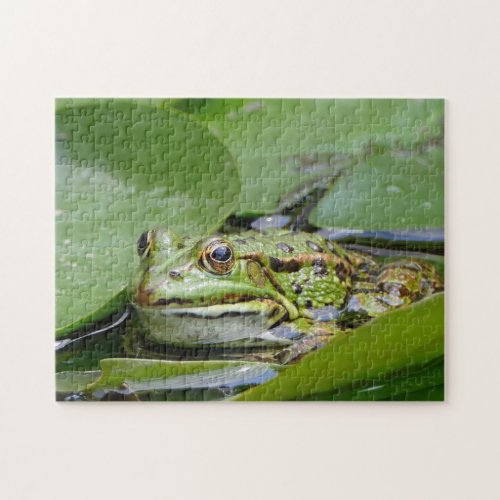 Frog Green Lily Pad Photo Jigsaw Puzzle