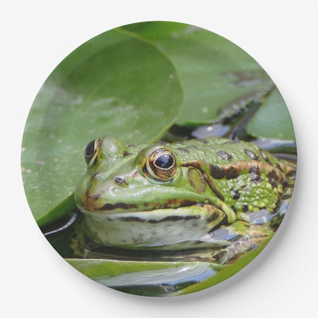 Frog Green Lily Pad Photo Paper Plates (Front)
