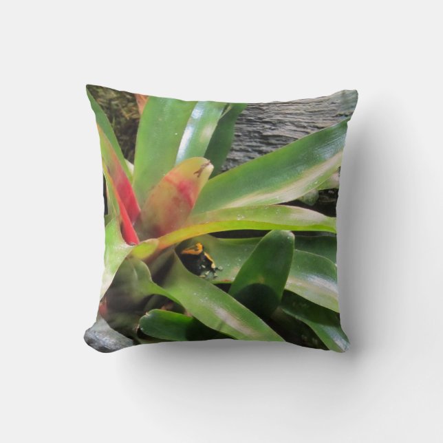 Frog Hiding in Plant Throw Pillow (Front)