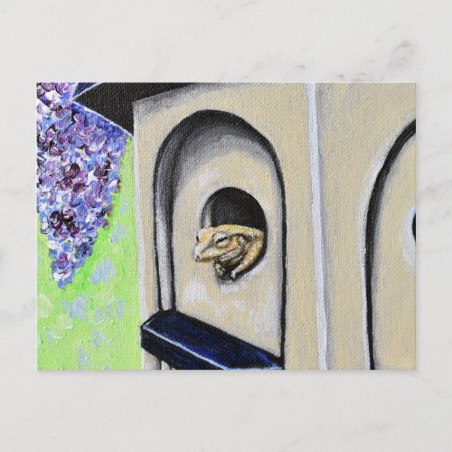 Frog in a Birdhouse Painting Postcard