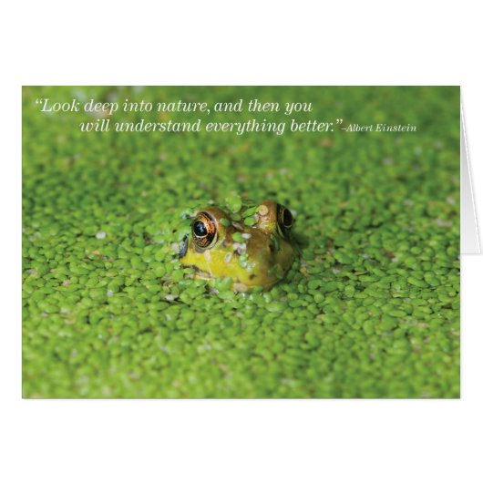 Frog in Green Algae Cards (Front Horizontal)