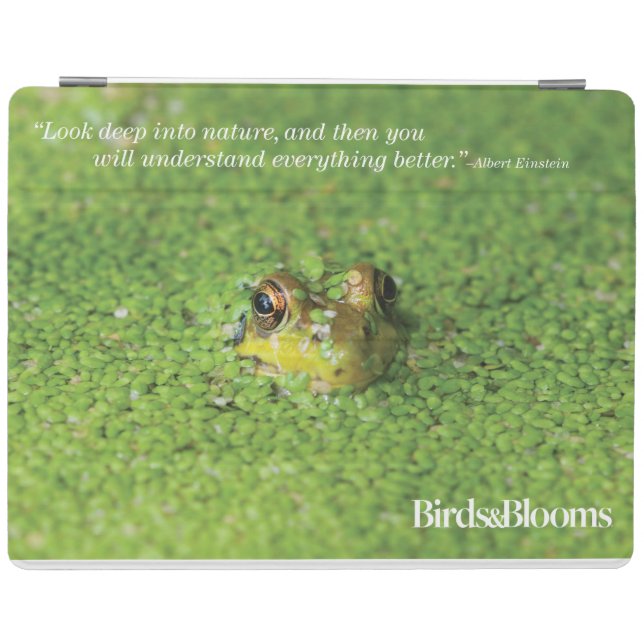 Frog in Green Algae iPad Air Cover (Horizontal)