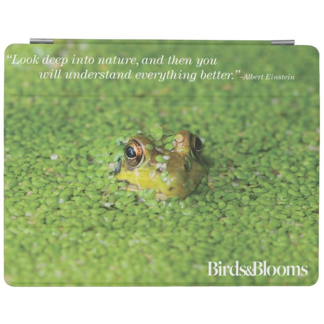 Frog in Green Algae iPad Smart Cover (Horizontal)
