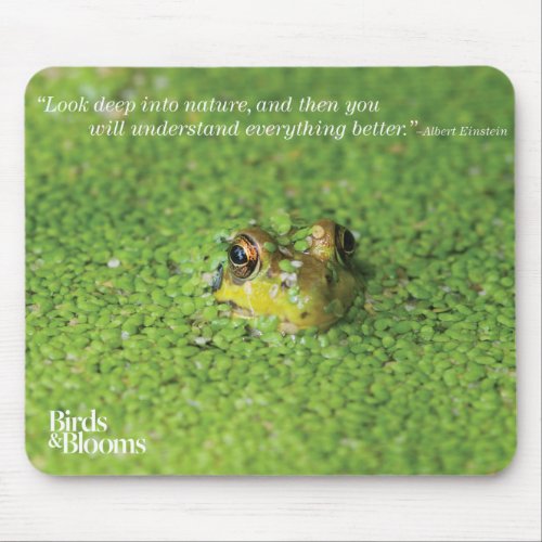 Frog in Green Algae Mouse Pad
