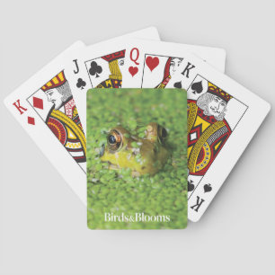 Frog in Green Algae Poker Cards
