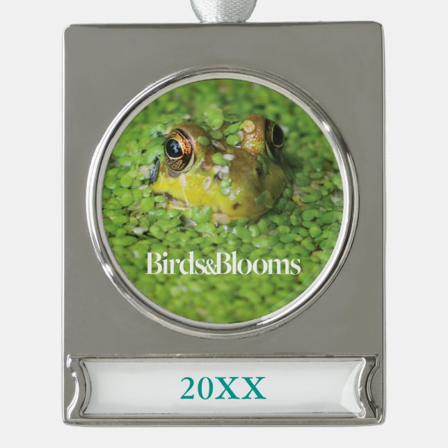 Frog in Green Algae Silver Plated Banner Ornament (Front)
