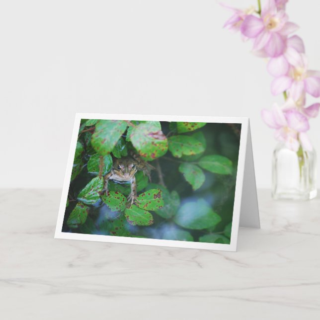 Frog in Leafy Pond Portrait Card (Orchid)