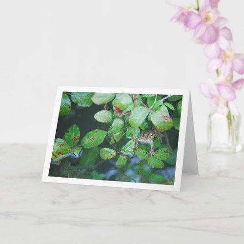 Frog in Leafy Pond Portrait Card